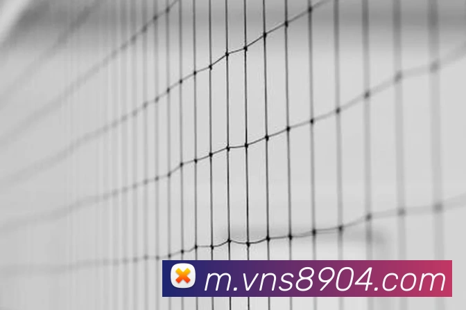 威尼斯人娱乐网站APP 体育赛事宣传图